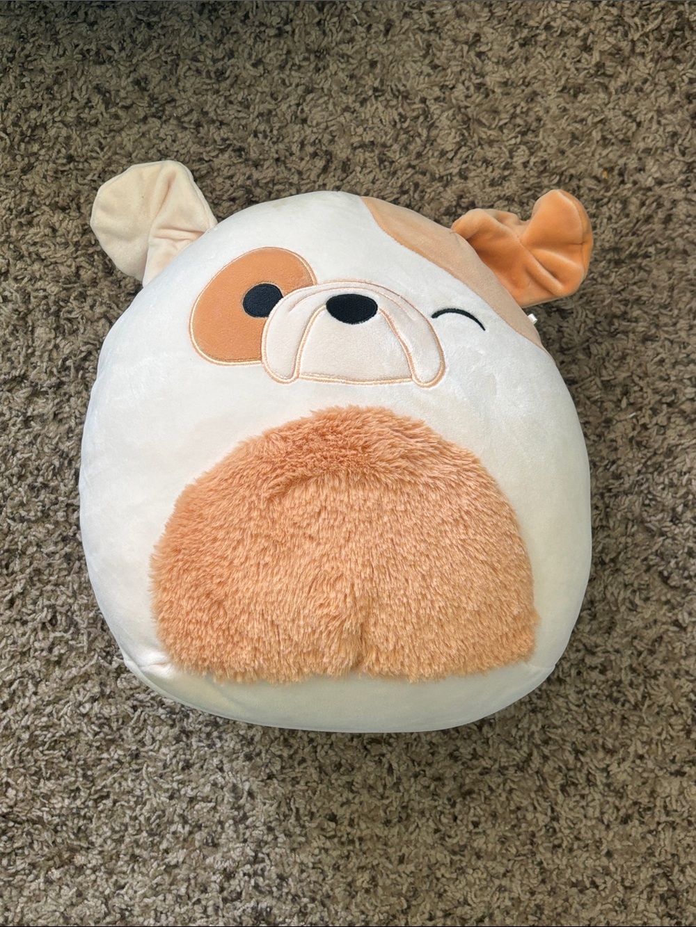 Bulldog Squishmallow